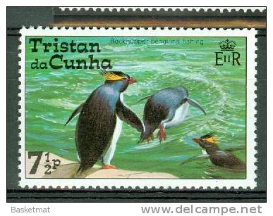 TRISTAN DA CUNHA GORFOU A LA PECHE - Pinguïns & Vetganzen