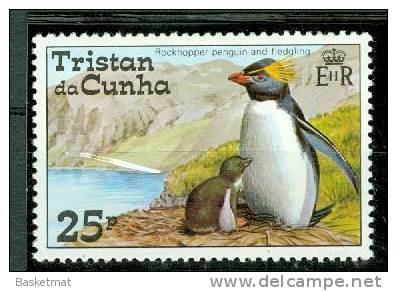 TRISTAN DA CUNHA GORFOU ET SON PETIT - Pinguini