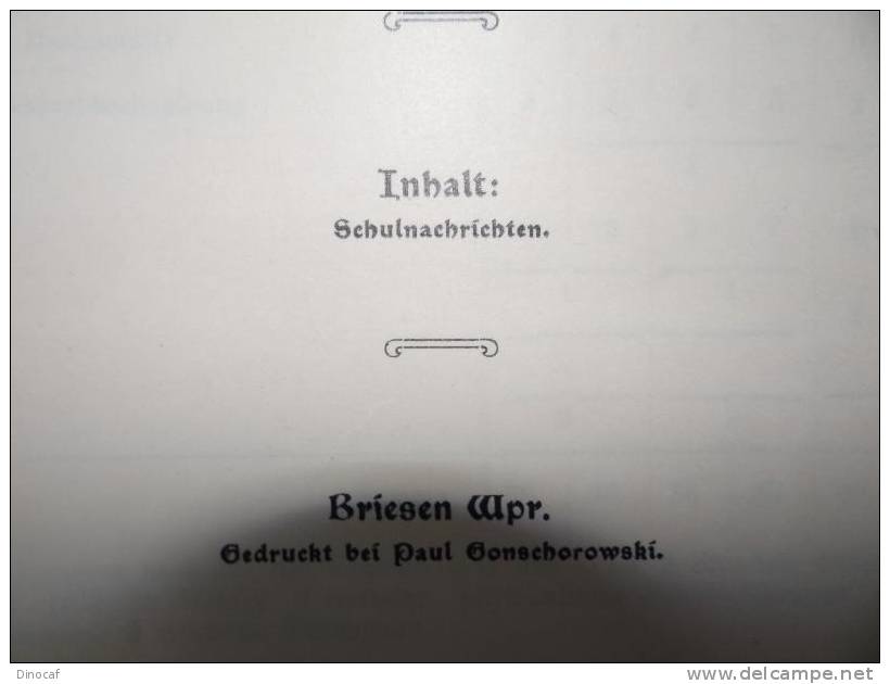 3 Schulschriften - Gymnasium Schule Briesen - **1913**, "Königliches Realprogymnasium Zu Briesen Westpr.", Gonschorowski - Altri & Non Classificati