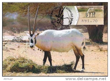 ISRAEL (2011) - Tarjeta Máxima / Maximum Card ATM - Oryx Leucoryx, Arabian Oryx, White Oryx, Orice De Arabia - Tarjetas – Máxima