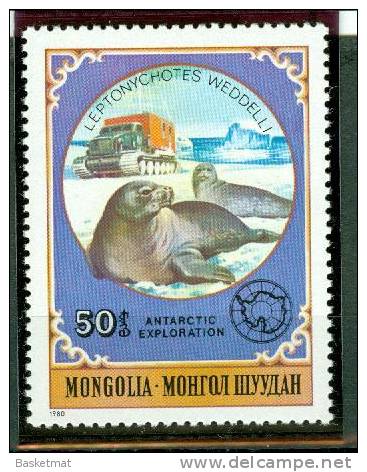 MONGOLIE OTARIE WEDDLI - Pinguini