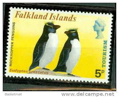 FALKLAND GORFOUS SAUTEURS - Penguins