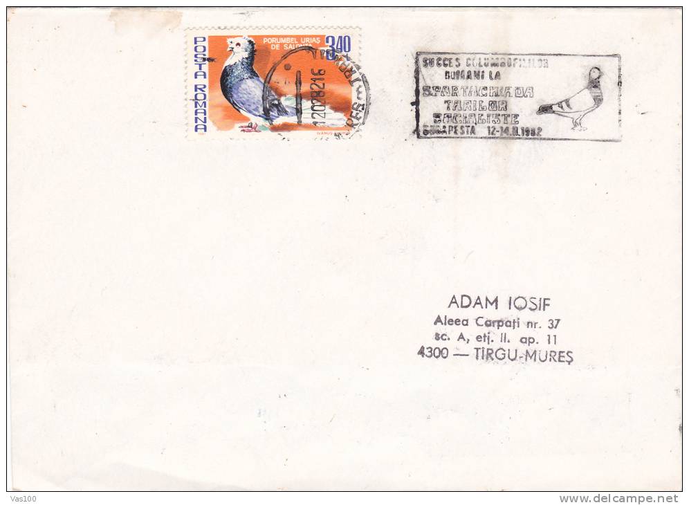 Pigeons & Columbiformes 1982 Pmk On Cover Romania. - Pigeons & Columbiformes