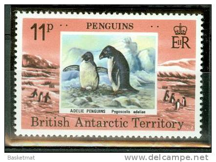 BRITISH ANTARCTIQUE MANCHOTS ADELIE - Pingouins & Manchots