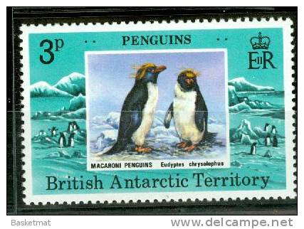 BRITISH ANTARCTIQUE MANCHOTS MACARONI - Pingouins & Manchots