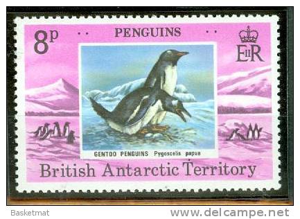 BRITISH ANTARCTIQUE MANCHOTS GENTOO - Pingouins & Manchots