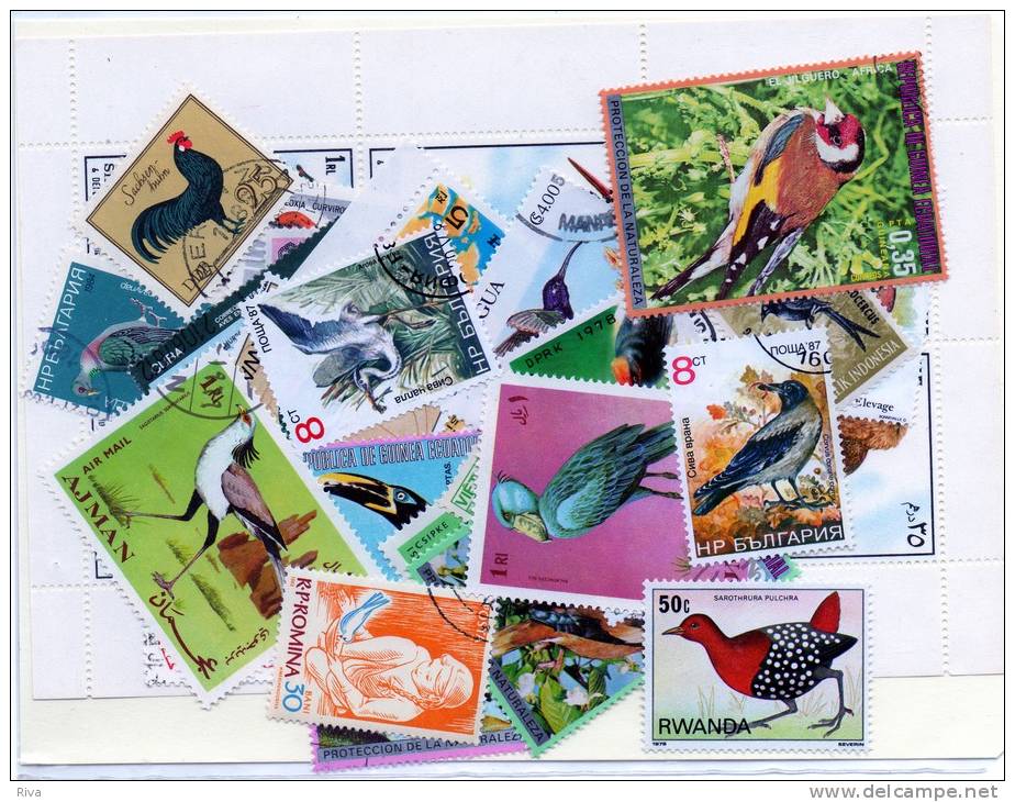 Bloc + 30 Valeurs (Oiseaux) O/b Sans Doubles - Collections, Lots & Series