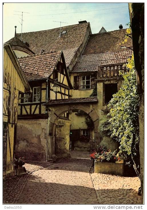 5 CPSM 68 RIQUEWIHR - Riquewihr