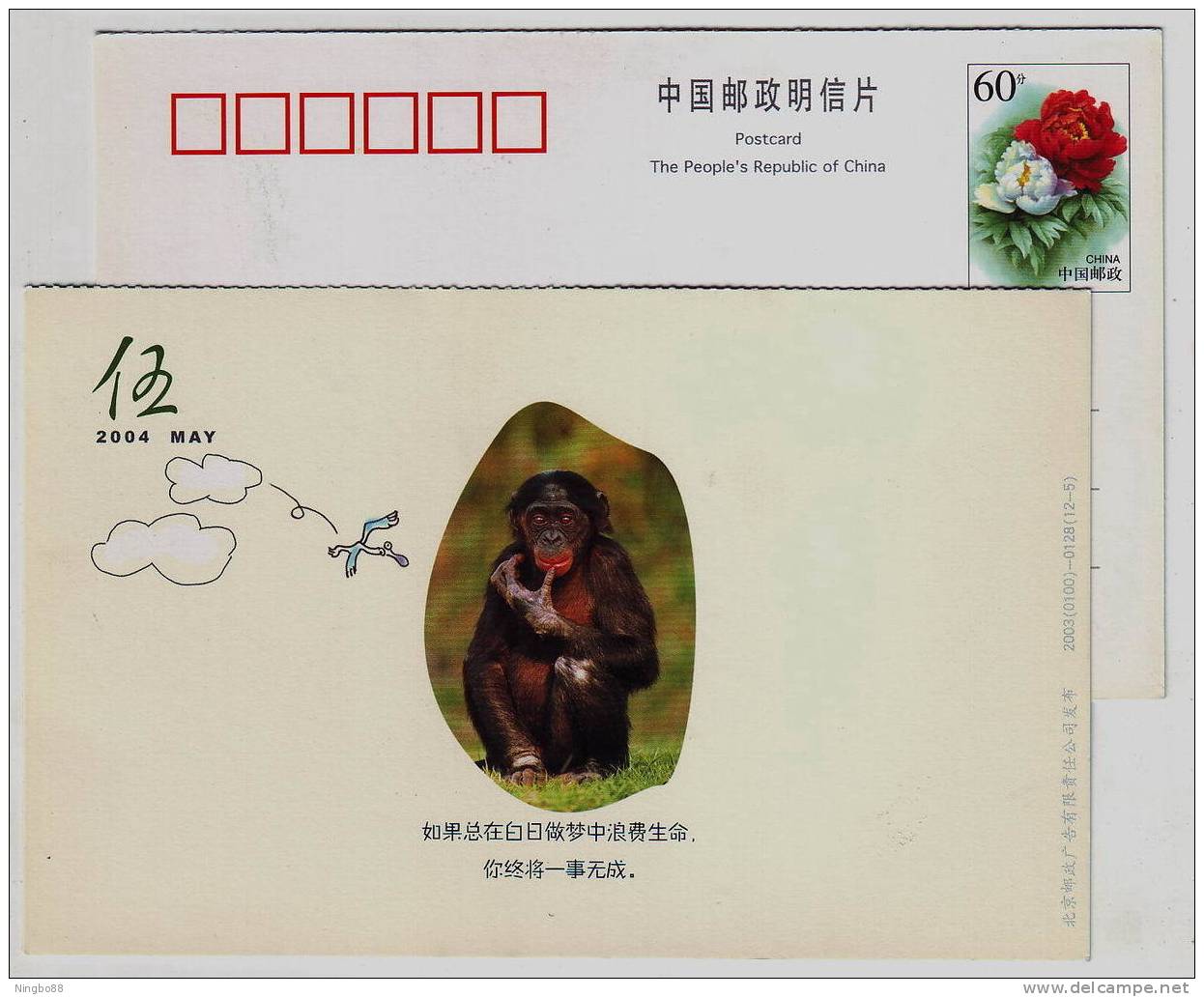 Primates Animal Chimpanzee,mammals,China 2004 Hainan Lunar New Year Advertising Pre-stamped Card - Chimpancés