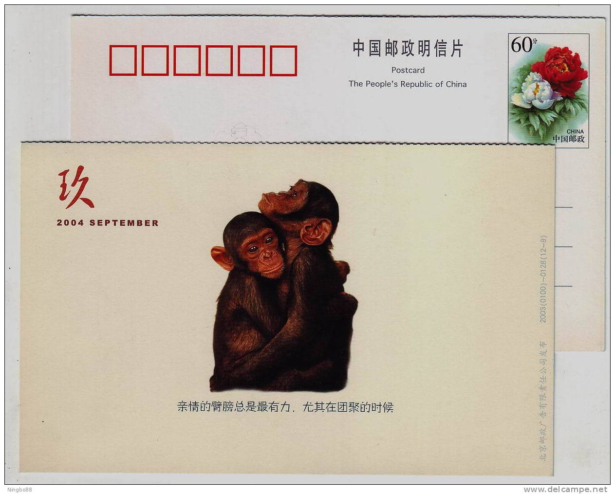 Primates Animal Chimpanzee,mammals,China 2004 Hainan Lunar New Year Advertising Pre-stamped Card - Scimpanzé