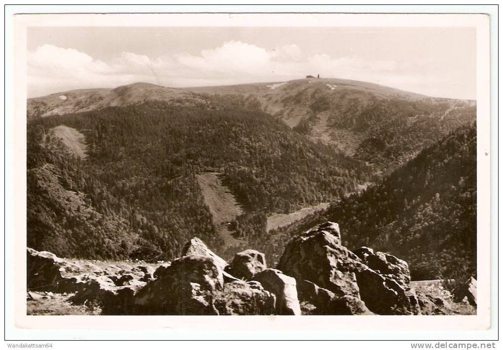 AK 26 FELDBERG Im Südl. Hochschwarzwald, 1500 M ü. M. - Blick Vom Hinterwaldkopf 15. 6. 52.- 18 FELDBERG (SCHWARZWALD) A - Feldberg