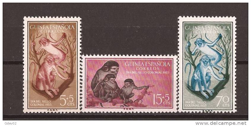 GUI355-L4015TAM.Guinea Guinee GUINEA ESPAÑOLA  DIA DEL SELLO 1955( Ed 355/7**) Sin Charnela LUJO - Schimpansen