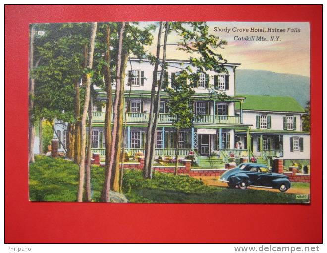 Catskill Mts. NY  Shady Grove Hotel Haines Falls  Linen===  ====  ==== Ref 297 - Catskills