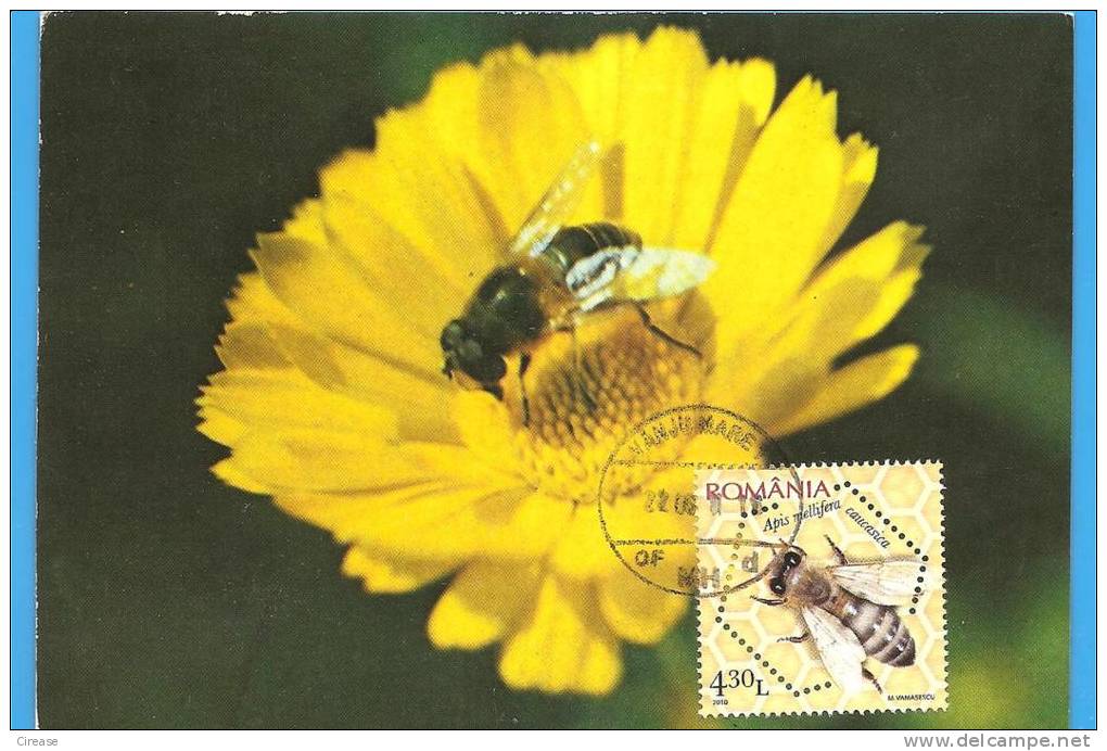 Bee, Abeilles Romania Carte Maximum, Maxicard, Maxi Card, Maximumcard - Abeilles