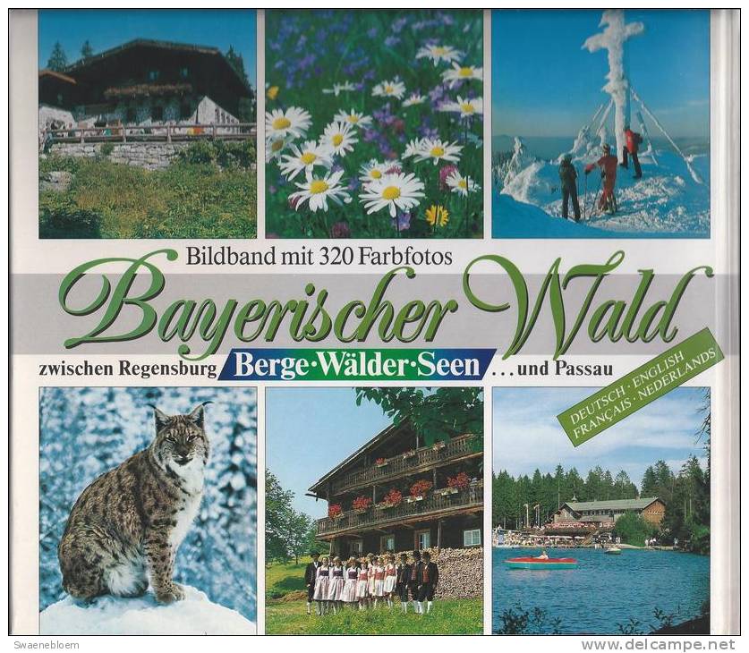 DE.- Bücher - Bayerischer Wald Zwischen Regensburg Und Passau. Berge, Wälder, Seen - Bildband Mit 320 Farbfotos. 3 Scans - Sonstige & Ohne Zuordnung