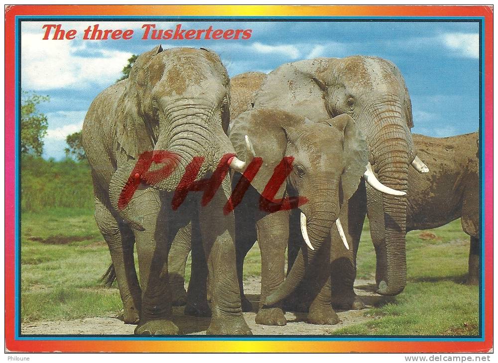 "African Wildlife" - Eléphant, Ref 1110-260 - Kenya