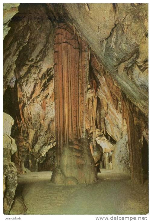 Slovenia, Postojnska Jama, Grotte Caves, The Gothic Column, Unused Postcard [P6981] - Slovenia
