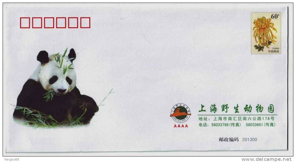 Giant Panda,China 2006 Shanghai Wildlife Animal Park Advertising Postal Stationery Envelope - Other & Unclassified