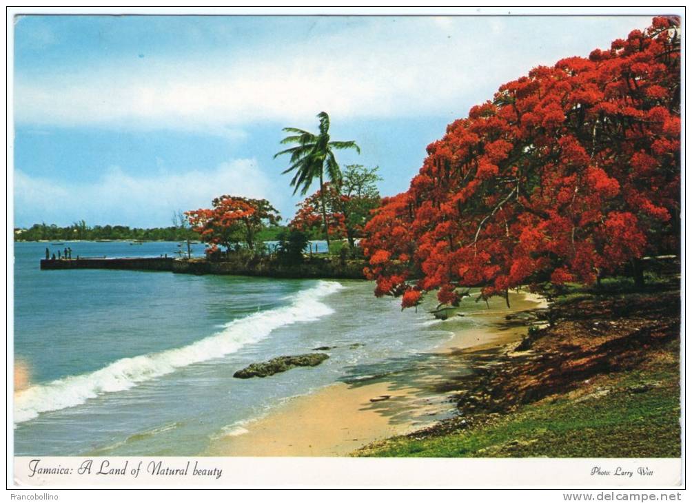JAMAICA - A LAND OF NATURAL BEAUTY - Jamaïque