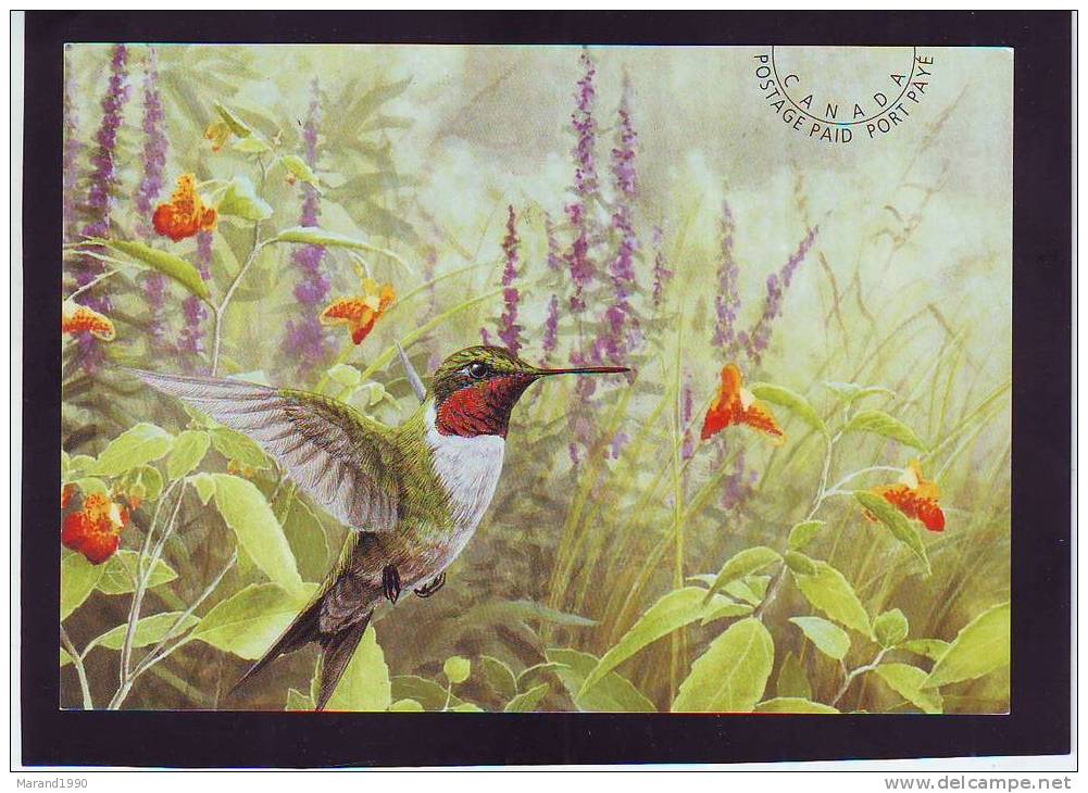 POSTAL STATIONARY, CANADA ** - Colibríes