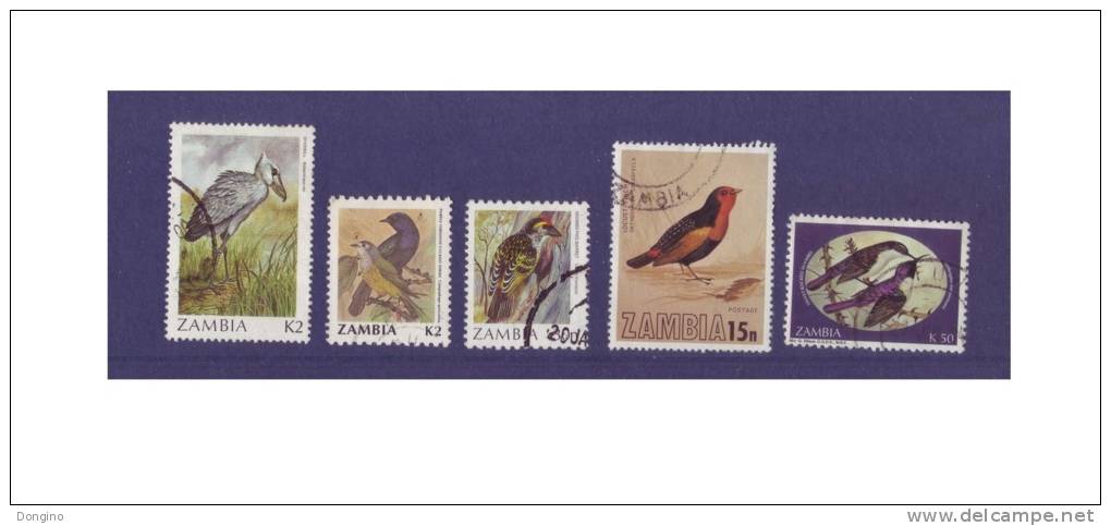 G199. Zambia / Zambie / Birds / Aves / Oiseaux - Konvolute & Serien