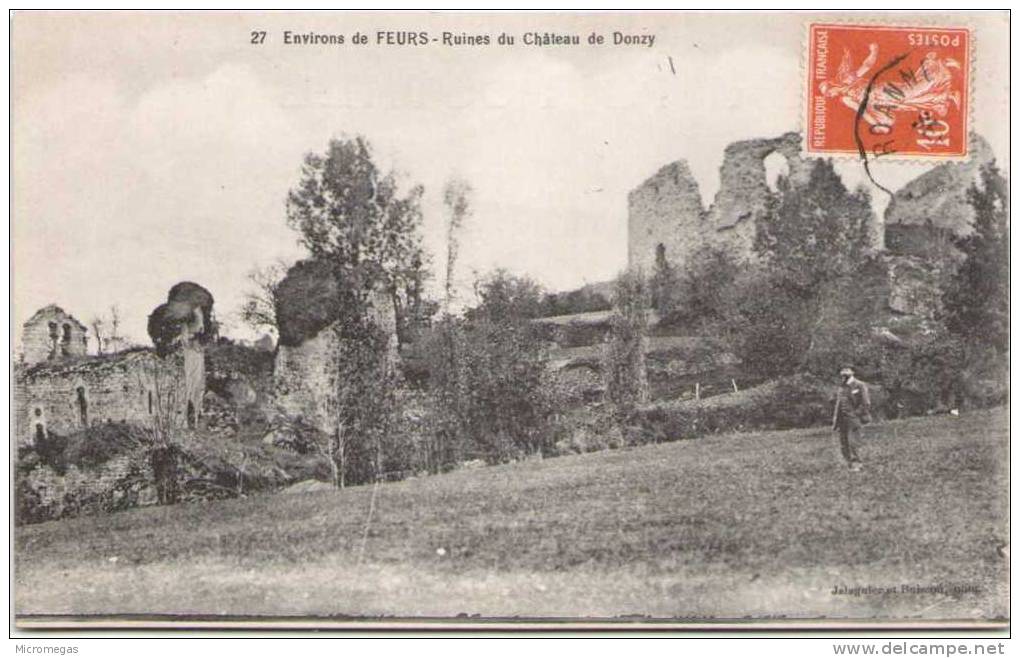 Environs De FEURS - Ruines Du Château De Donzy - Feurs