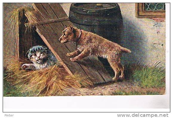 CHAT Et CHIEN -n° 1975 - Gatti