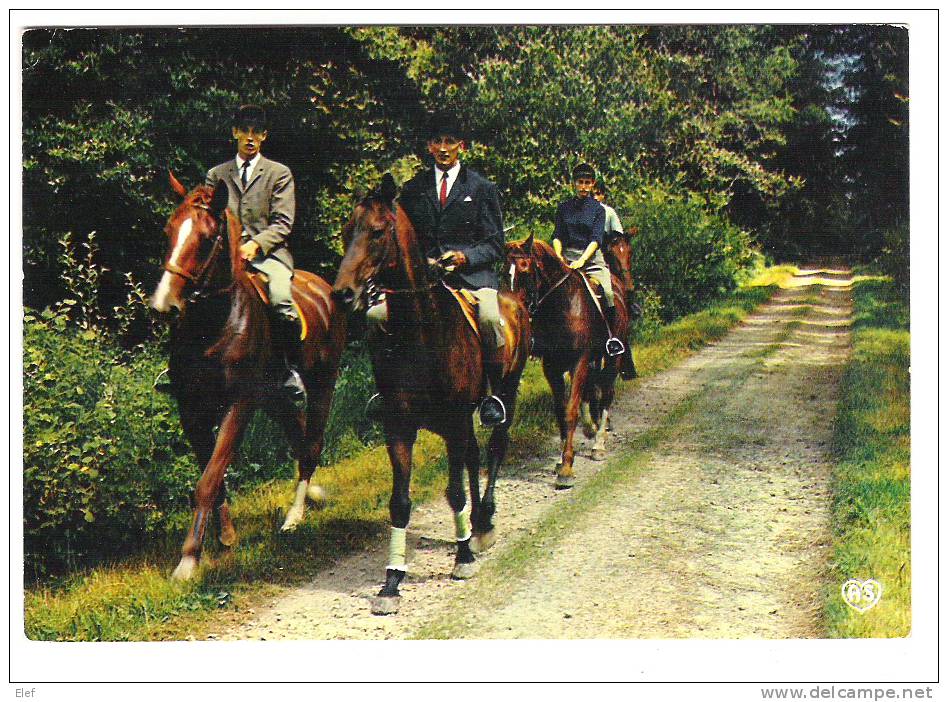 Hippisme / Cheval: Promenade Equestre , Vers CHAUMONT, Haute-Marne; 1977; B/TB - Horse Show