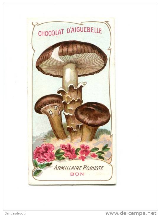 Aiguebelle Chromo Didactique Texte Explicatif Au Dos Champignon Armillaire - Aiguebelle