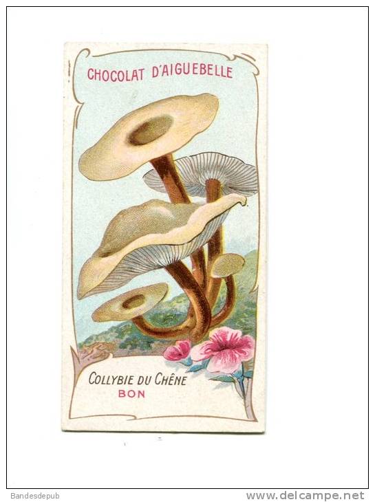 Aiguebelle Chromo Didactique Texte Explicatif Au Dos Champignon Collybie Du Chêne - Aiguebelle