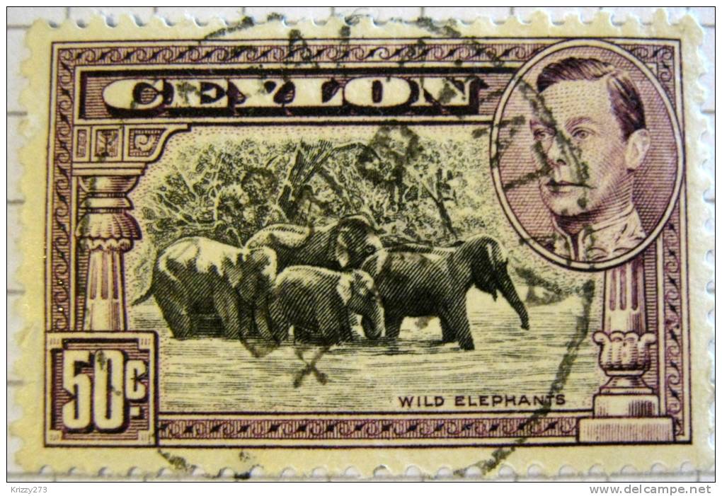 Ceylon 1938 Wild Elephants 50c - Used - Ceylan (...-1947)