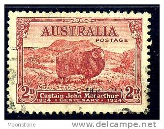 Australia GV 1934 MacArthur Merino Sheep 2d Value Type B Shading, Used (A) - Usati