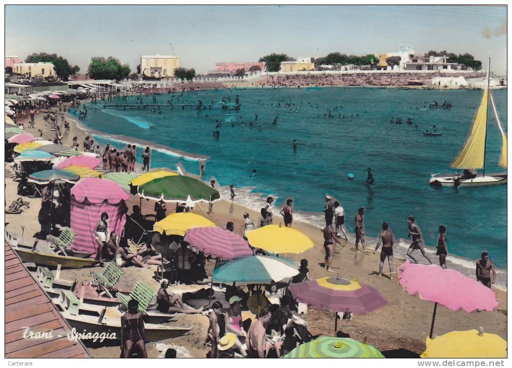 Italie,italia,puglia,pouilles, Barletta Andria Trani,TRANI SPIAGGIA,parasol Rose - Trani