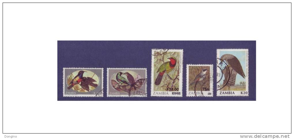 G210. Zambia / Zambie / Birds / Aves / Oiseaux - Collections, Lots & Series