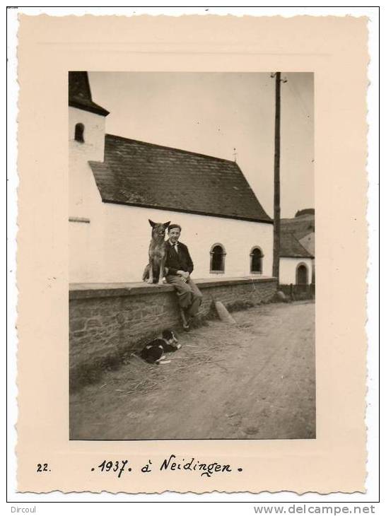 19015  -  Neidingen  1937  -   Photo  11 X 8 - Saint-Vith - Sankt Vith