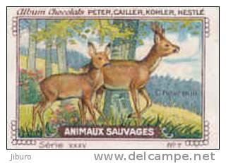 Image / Animaux Sauvages - Chevreuil  / Animal De La Forêt  // IM K-26/4 - Nestlé