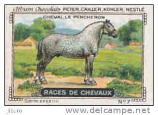 Image / Races De Chevaux - Le Percheron / ( Equitation  Hippisme Race Cheval )  // IM K-26/4 - Nestlé