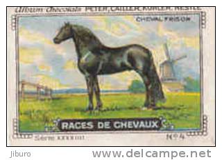 Image / Races De Chevaux - Frison / ( Equitation  Hippisme Race Cheval )  // IM K-26/4 - Nestlé