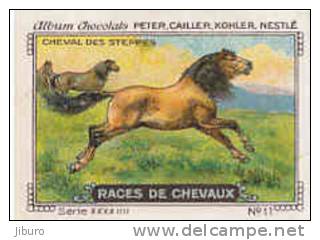Image / Races De Chevaux - Cheval Des Steppes / ( Equitation  Hippisme Race Cheval )  // IM K-26/4 - Nestlé