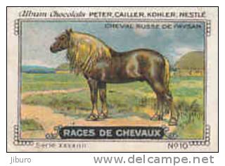 Image / Races De Chevaux - Cheval Russe De Paysan / ( Equitation  Hippisme Race Cheval )  // IM K-26/4 - Nestlé