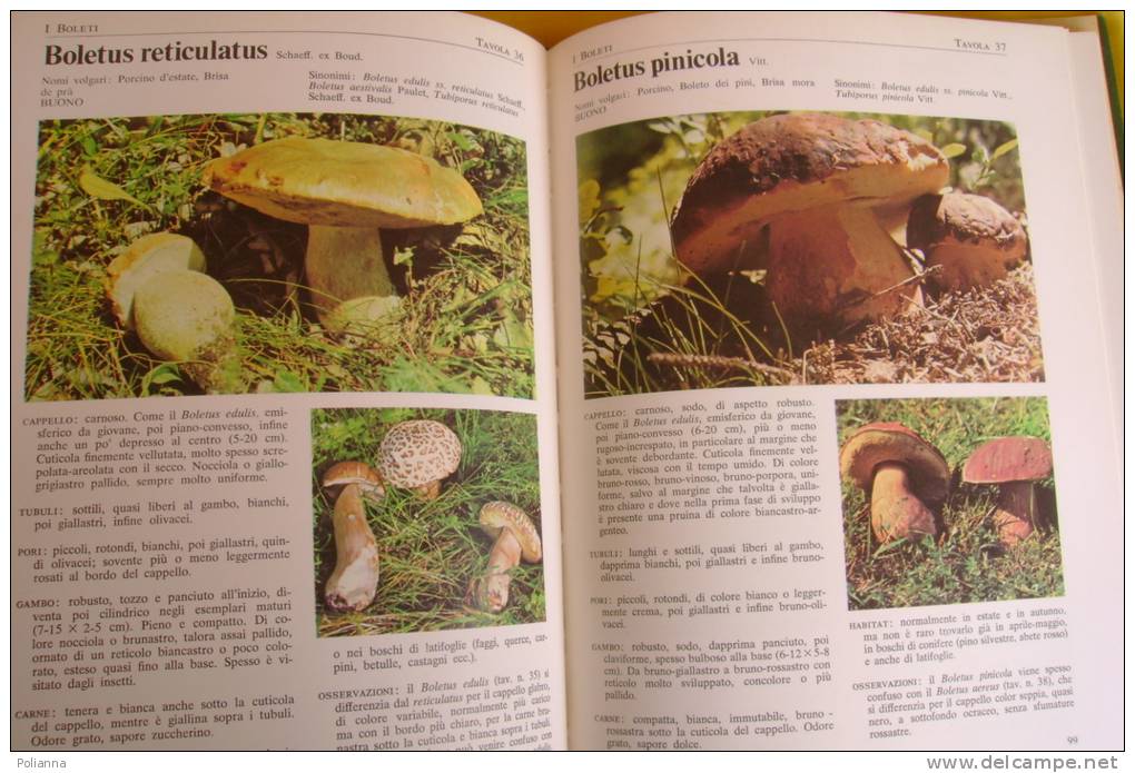 PEC/2 F.e T.Raris I FUNGHI-CERCARLI-CONOSCERLI-CUCINARLI Fabbri Ed. I^ Ed.1973/RICETTE - Maison Et Cuisine