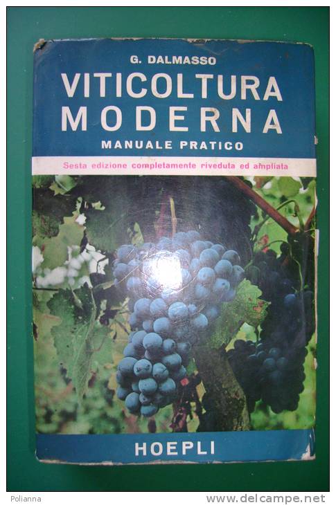 PEC/11 Dalmasso VITICOLTURA MODERNA Hoepli 1972/UVA/VITE/VINO - Jardinage
