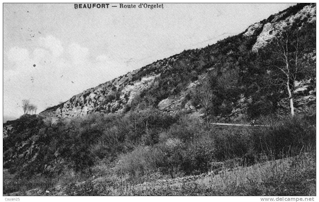 39 BEAUFORT - Route D'Orgelet - Beaufort