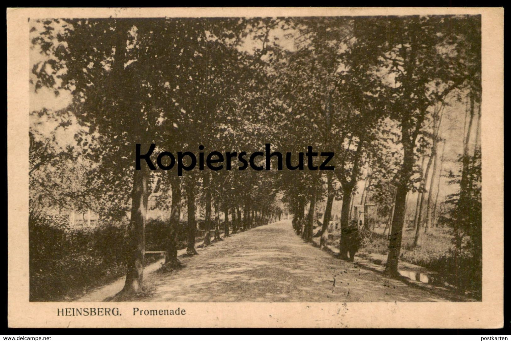 ALTE POSTKARTE HEINSBERG PROMENADE Allee Alley Baum Arbre Tree Cpa Postcard Ansichtskarte AK Belgische Militärpost - Heinsberg