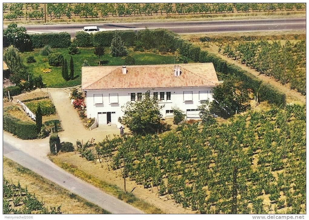 Gironde - Saint Emilion , Vue Aérienne Du Chateau Patarabet Et Vignes , Ed Photo Hélicolor - Saint-Emilion