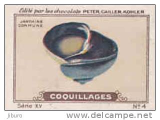 Image Ancienne / Coquillages /  Janthine Commune / Coquillage Shells Shell // IM K-26/6 - Nestlé