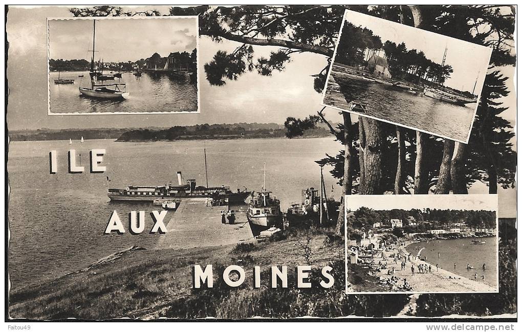 56- - Ile Aux MOINES - La Plage - Le Port Et Le Bois D' Amour - Le Débarcadère - La Flottille ( Cpsm Pm)372 - Ile Aux Moines