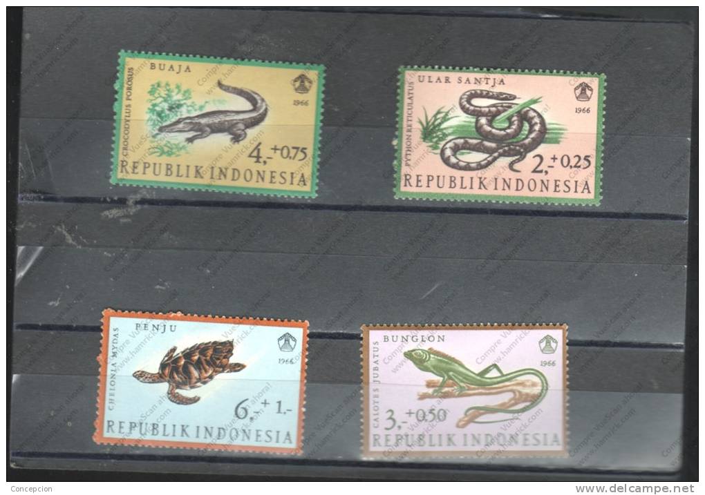 INDONESIA Nº 494 AL 497 - Schildpadden