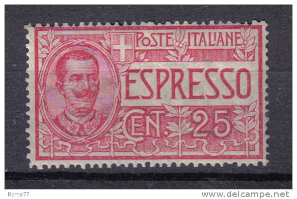 3RG607 - REGNO 1903, Espressi : Serie N. 1  *  Mint - Exprespost