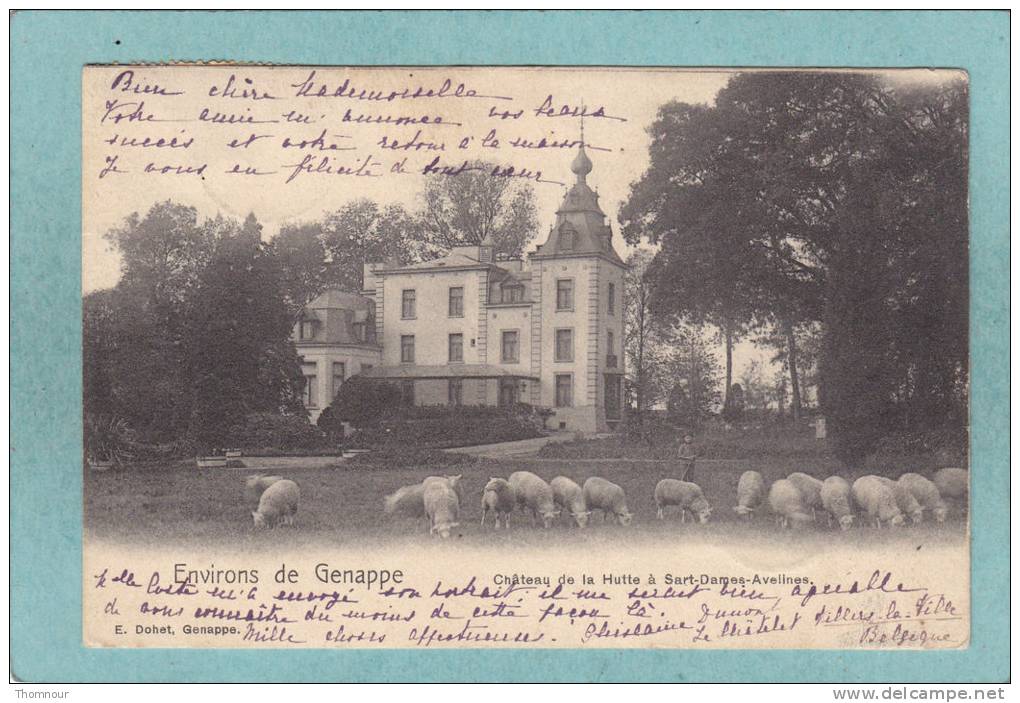Environs De GENAPPE  - Château De La Hutte à SART-DAMES-AVELINES.1902  -  BELLE CARTE PRECURSEUR  - - Genappe